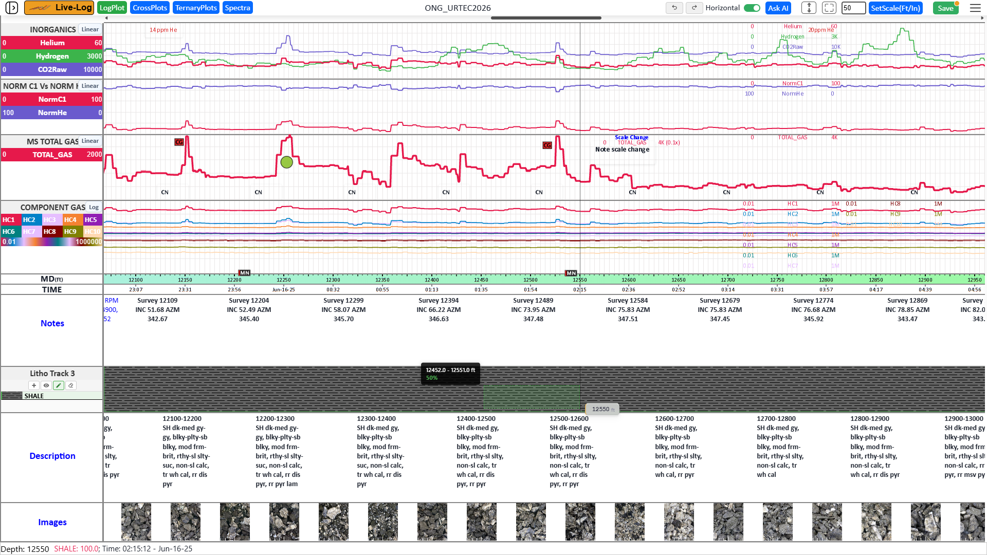 Live-Log horizontal well log with total gas and component curves