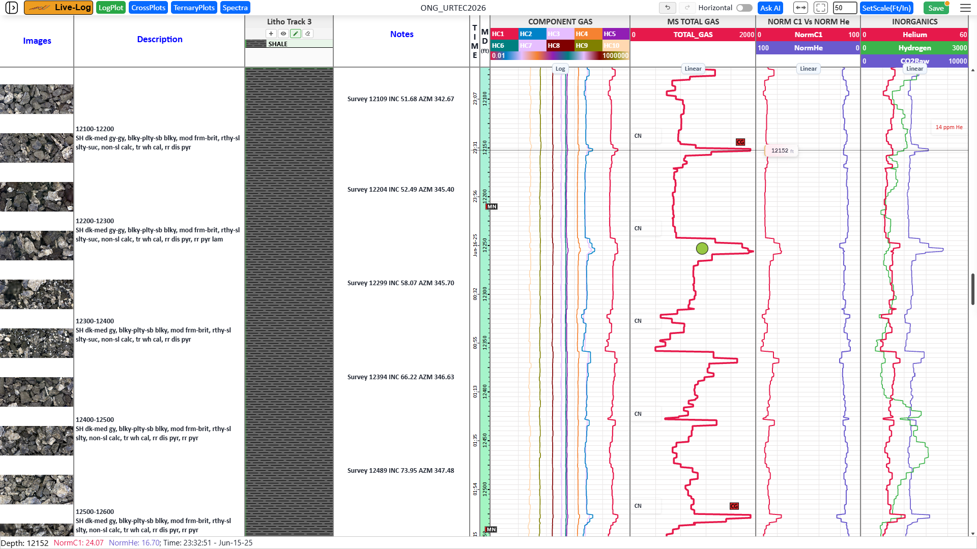 Live-Log vertical well log with gas curves, lithology and a core image track